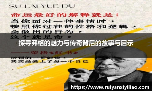 探寻弗格的魅力与传奇背后的故事与启示